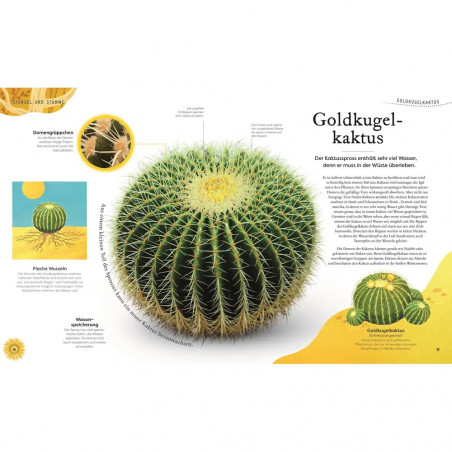 Große und kleine Schätze der Natur. Pflanzen