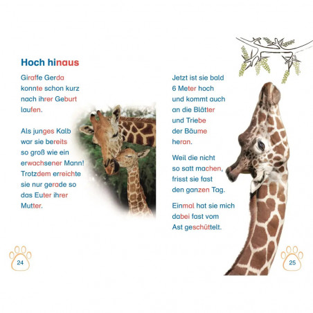 SUPERLESER! Nachwuchs bei uns im Zoo