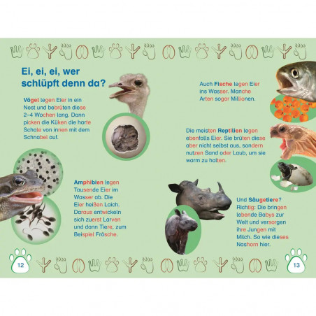 SUPERLESER! Nachwuchs bei uns im Zoo