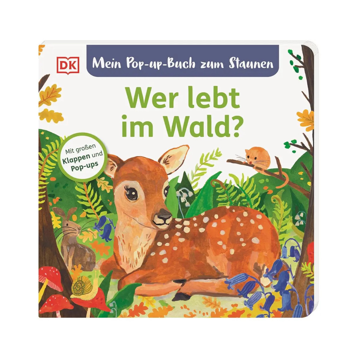 Mein Pop-up-Buch zum Staunen. Wer lebt im Wald