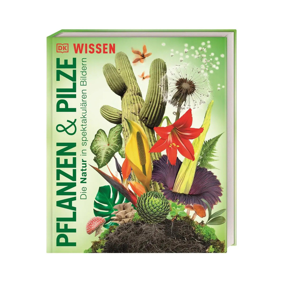 DK Wissen. Pflanzen und Pilze