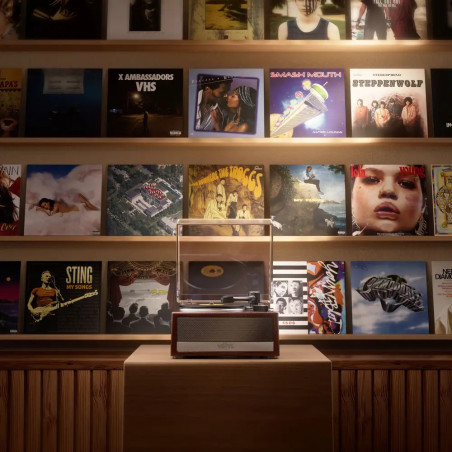 Mini Brands Vinyl Kapsel Serie 1