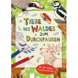 Arena Verlag - Tiere des Waldes zum Durchpausen -Mit 24 farbigen Transparentbögen Arena Verlag - Tiere des Waldes zum Durchpausen -Mit 24 farbigen Transparentbögen