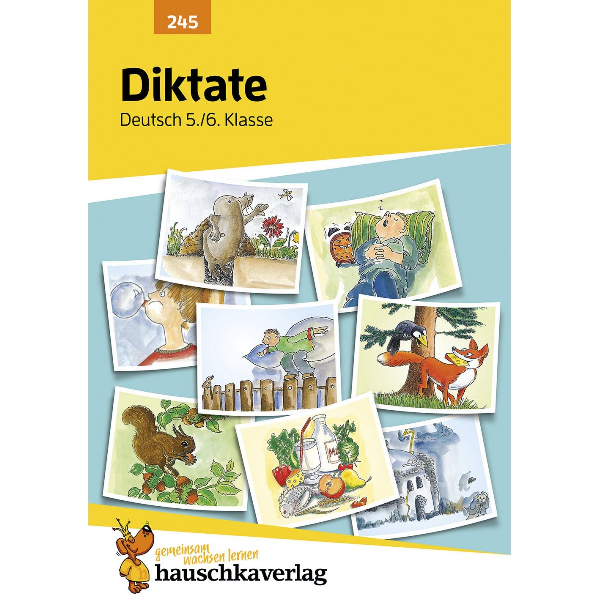 Hauschka Verlag - Diktate 5./6. Klasse, A5- Heft